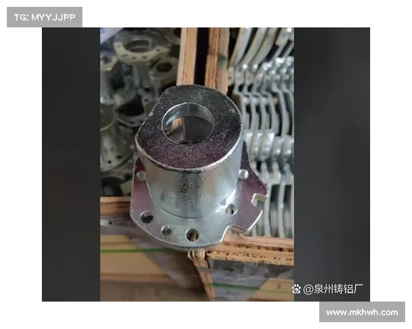 温哥华街头棒球节吸引百支社区队伍参与 展现城市多元体育文化活力 温哥华街头棒球节吸引百支社区队伍参与 展现城市多元体育文化活力